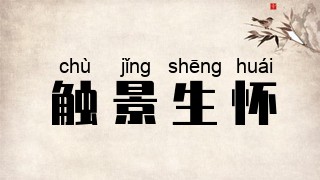 触景生怀