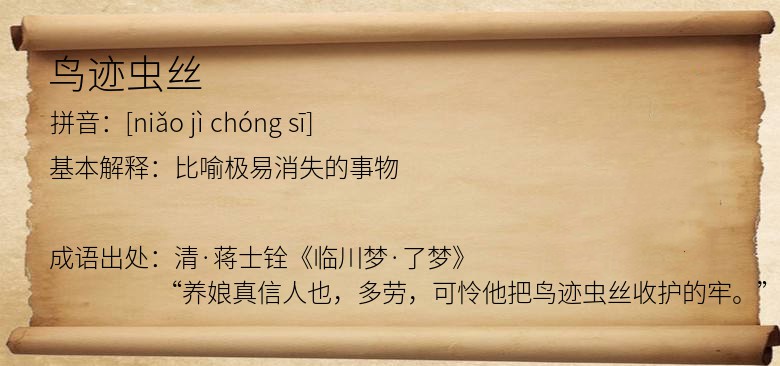 鸟迹虫丝