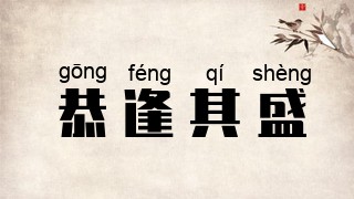 恭逢其盛