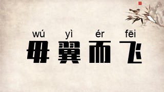 毋翼而飞