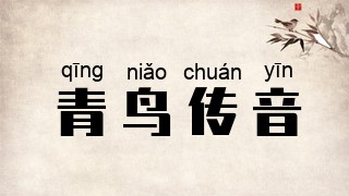 青鸟传音