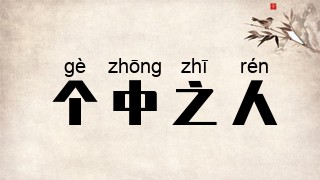 个中之人