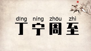 丁宁周至
