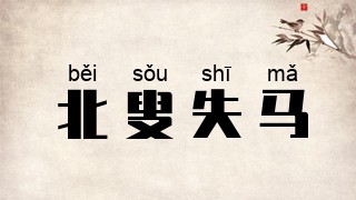 北叟失马