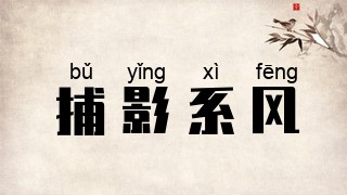 捕影系风