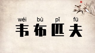 韦布匹夫
