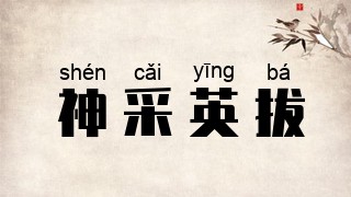 神采英拔