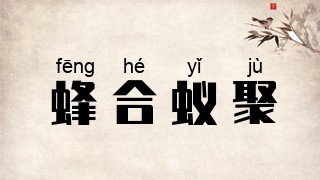 蜂合蚁聚