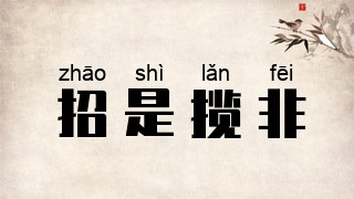 招是揽非