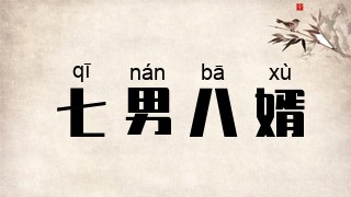 七男八婿