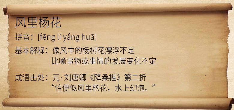 风里杨花