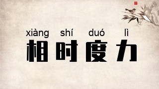 相时度力
