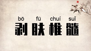 剥肤椎髓