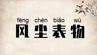风尘表物