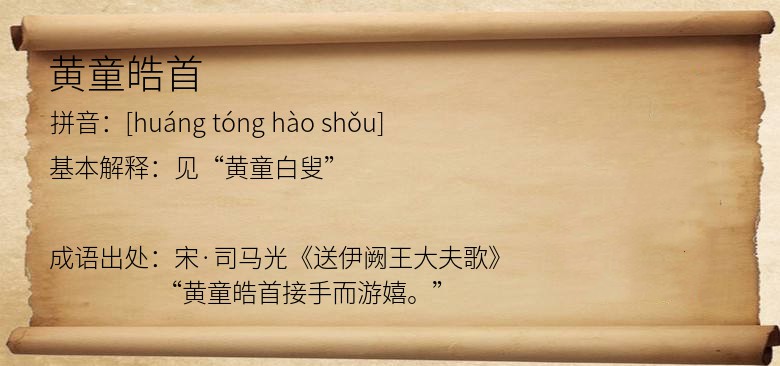 黄童皓首
