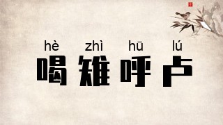 喝雉呼卢