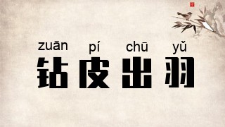 钻皮出羽