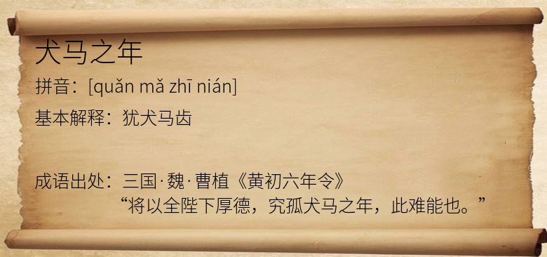 犬马之年