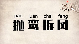 抛鸾拆凤
