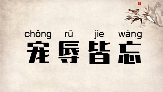 宠辱皆忘