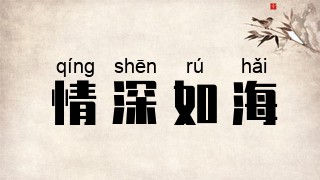 情深如海