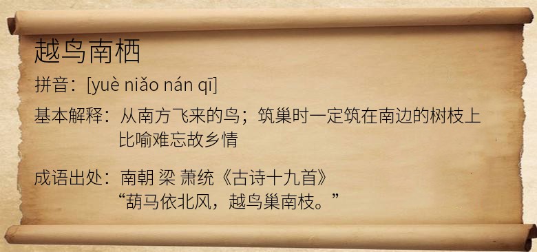 越鸟南栖