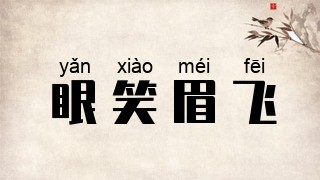 眼笑眉飞