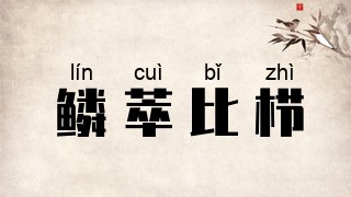 鳞萃比栉