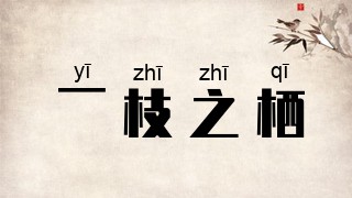 一枝之栖