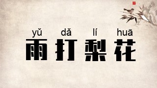 雨打梨花