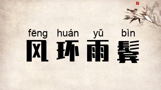 风环雨鬓