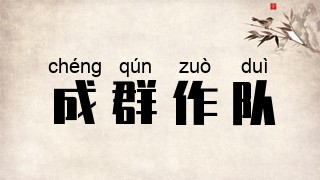 成群作队