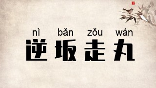 逆坂走丸
