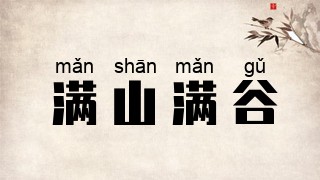 满山满谷