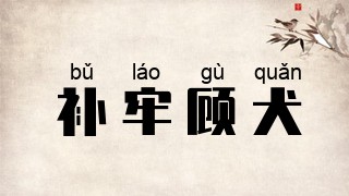 补牢顾犬