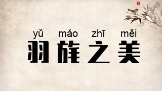 羽旄之美