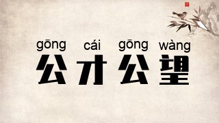 公才公望