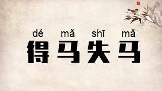 得马失马