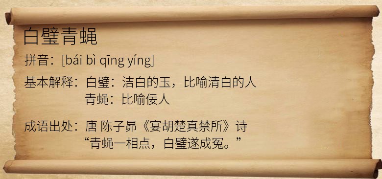 白璧青蝇