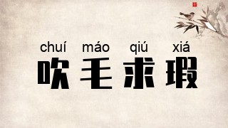 吹毛求瑕