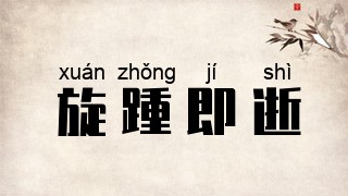 旋踵即逝