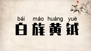 白旄黄钺