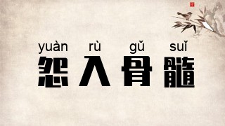 怨入骨髓