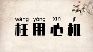 枉用心机