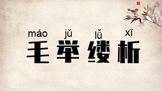 毛举缕析