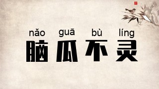 脑瓜不灵