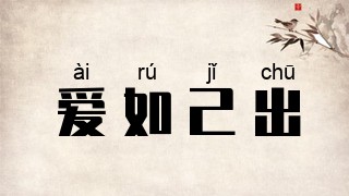 爱如己出