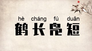 鹤长凫短
