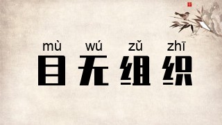 目无组织