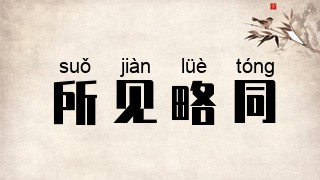 所见略同